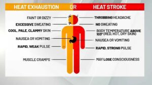 Dehydration vs heat stroke symptoms