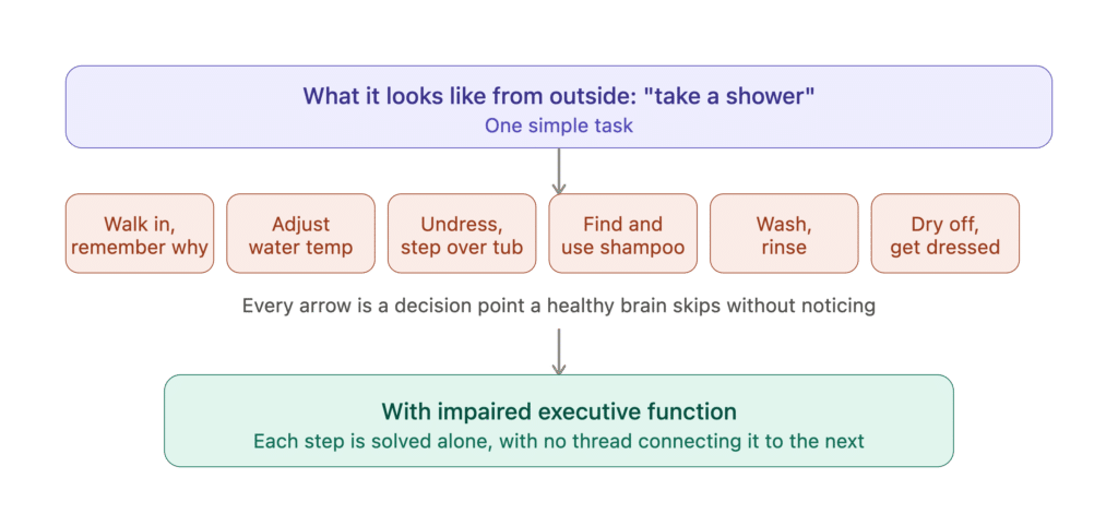 executive function chain for seniors with dementia